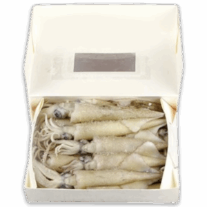 CALIFORNIA Squid WR 9-11cm Block 1KG